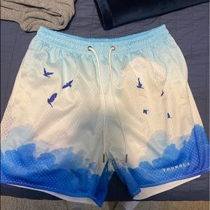 YoungLA Block Party Shorts. “Above The Clouds”. Medium